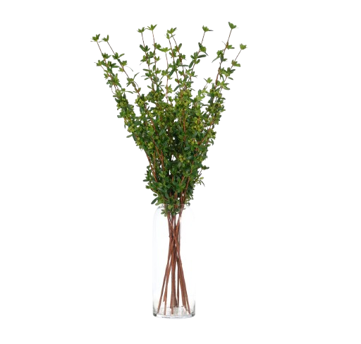 Berry Pyracantha in Vintage Chinese Water Pot Container