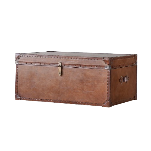 Hudson Trunk