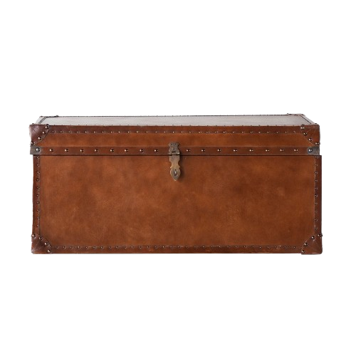 Hudson Trunk